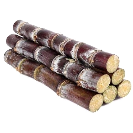 Sugarcane-12586614