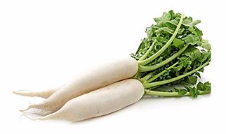 Raddish