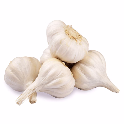 garlic