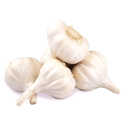 Garlic-1