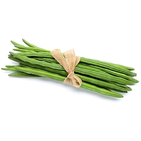 Drumstick/Moringa
