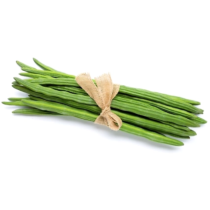 Drumstick/Moringa-1