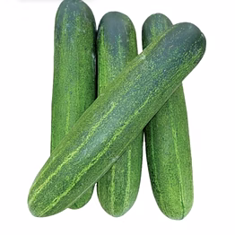 cucumber