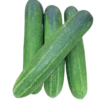 Cucumber-12586596