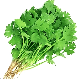 Coriander Leaves