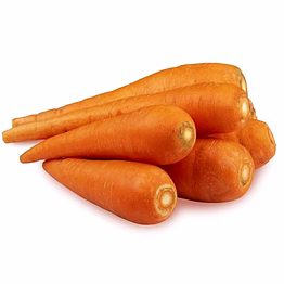 carrot