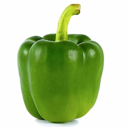 capsicum