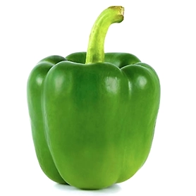 Capsicum