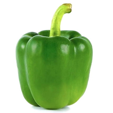 Capsicum-1