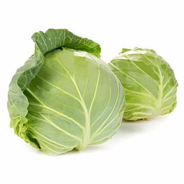 cabbage