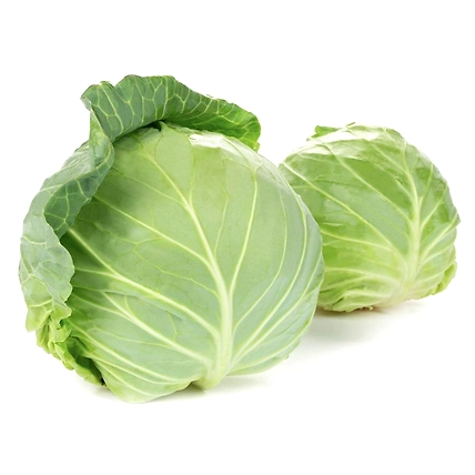 Cabbage-12586580