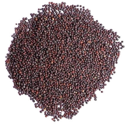 Mustard-1