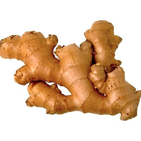 Ginger