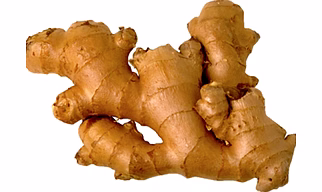 Ginger