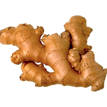 Ginger-1