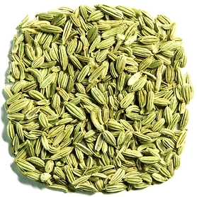 Fennel