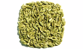 Fennel