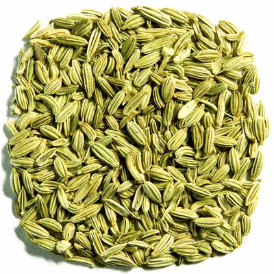 fennel