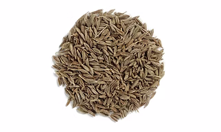 Cumin/Jeera