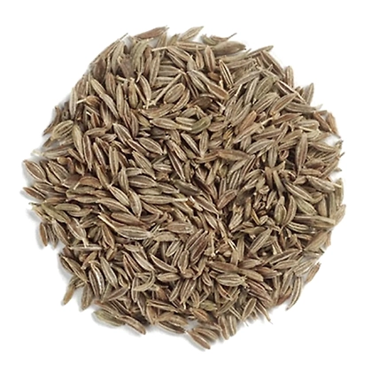 Cumin/Jeera-12586270