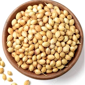 Coriander