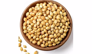 Coriander