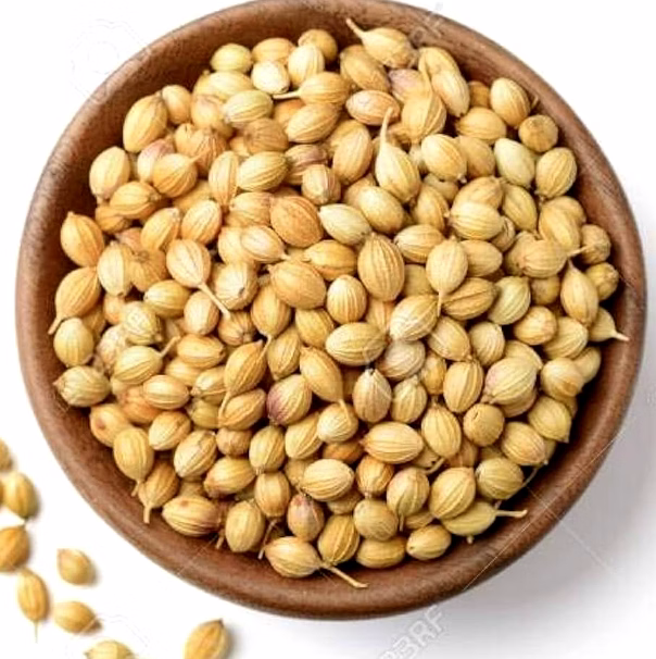 Coriander image 2