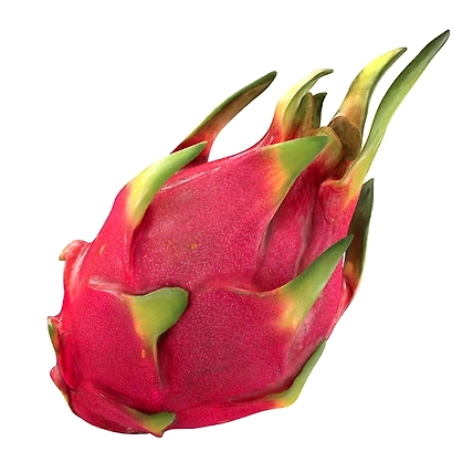 Dragon Fruit-12586260