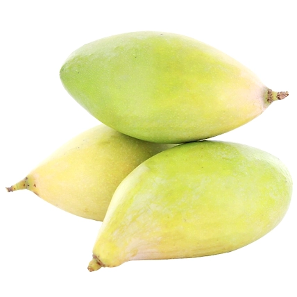 Totapuri Mango (Seasonal)-12586258