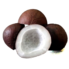 Coconut Dried