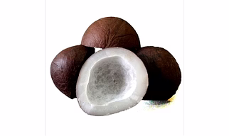 Coconut Dried