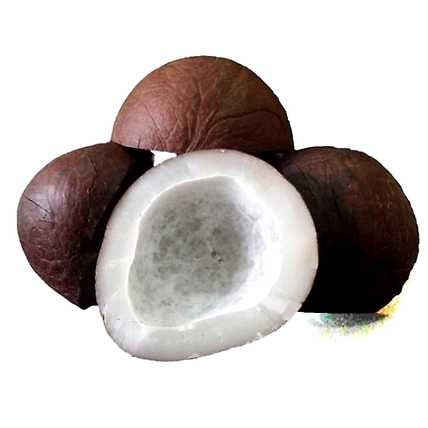Coconut Dried-1