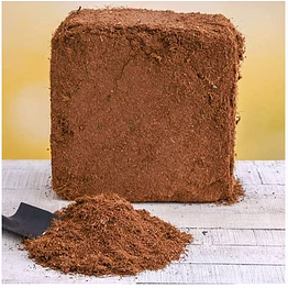 coco peat