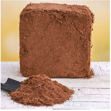 Coco Peat-12586238