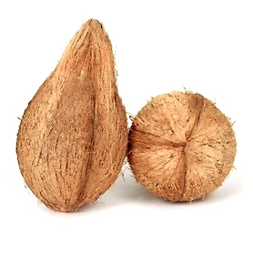 Semi Husked Coconut