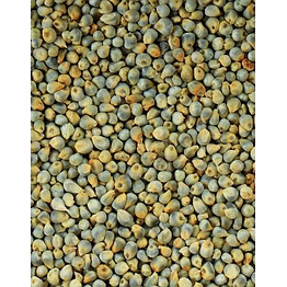 bold green millets