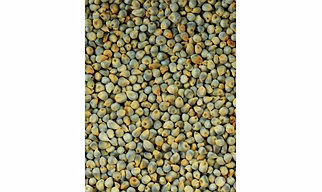 Green millets