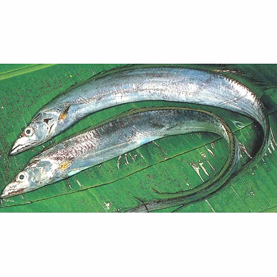 unbranded ribbonfish a+++ export quality - healthy and tasty!