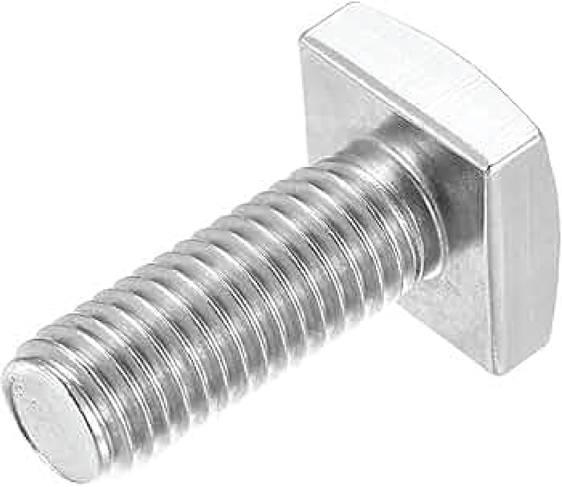 Square Head Bolt-2