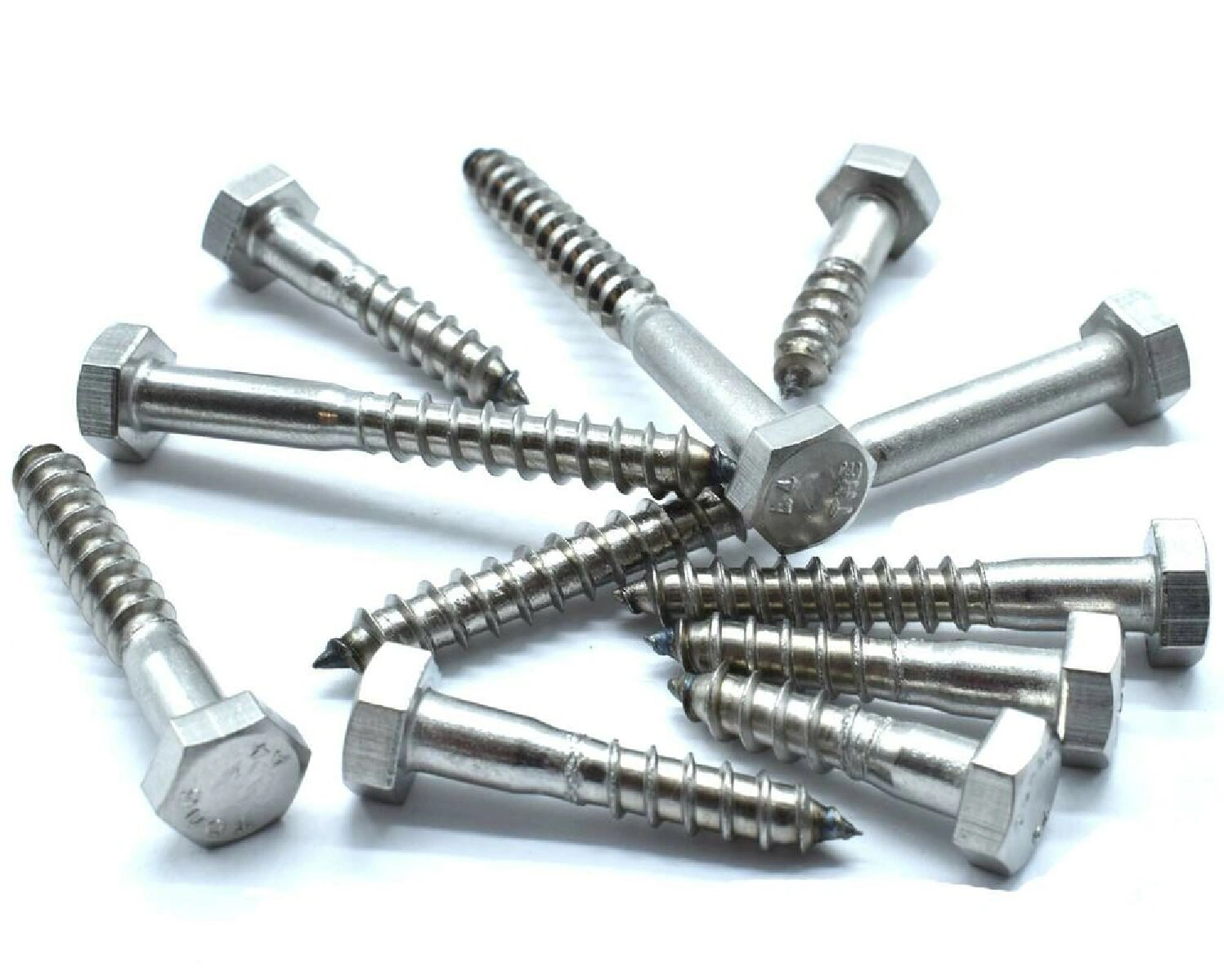 Coach Screws-12628576