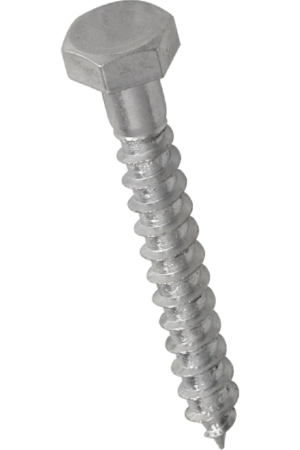 Coach Screws-1