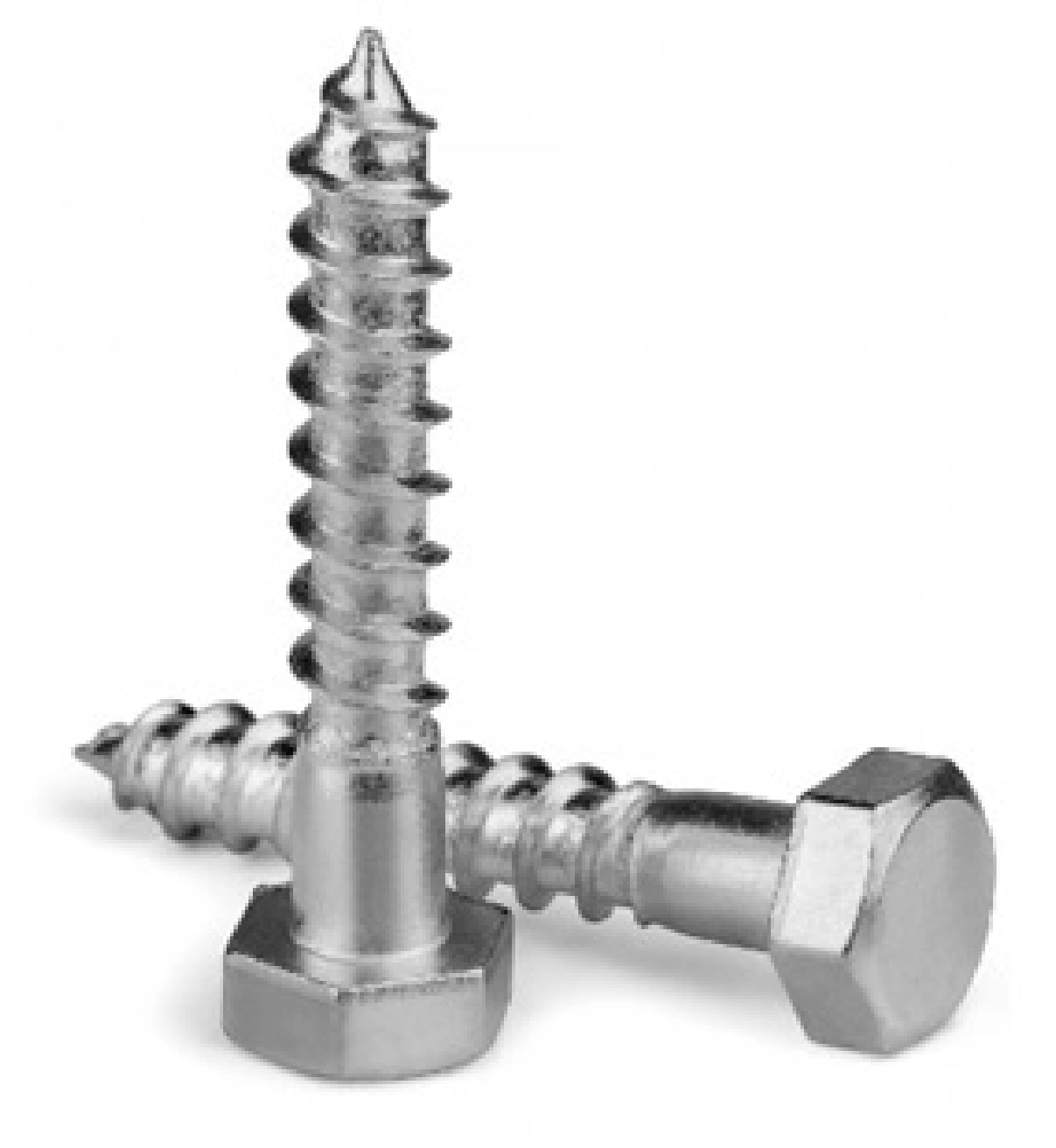 Coach Screws-2