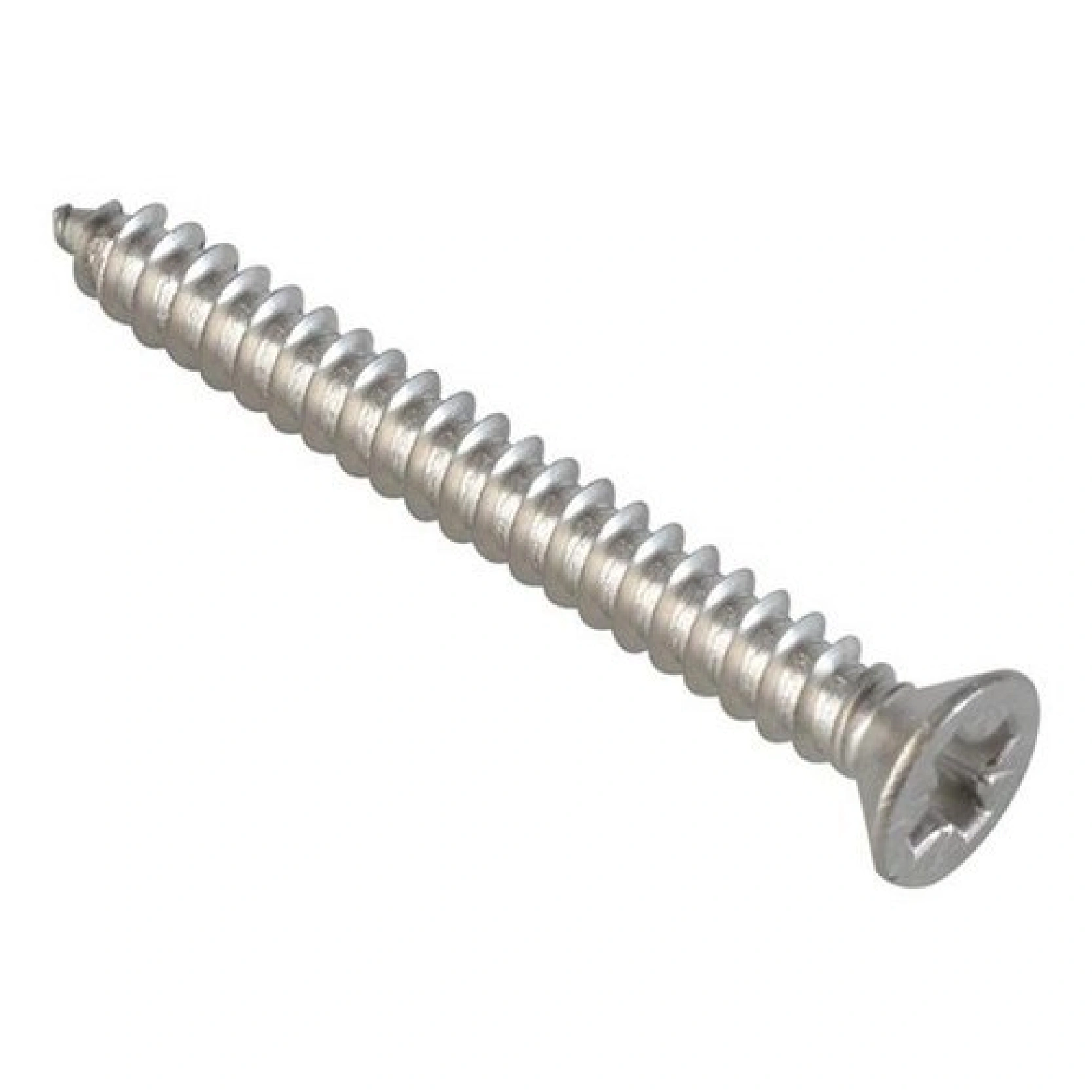 Self Tapping Screws-2