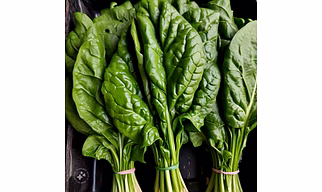 Palak (Spinach)
