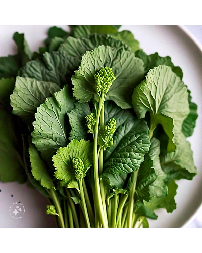 Sarson (Mustard leaves)-7-256g