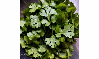 Coriander leaves (Dhaniya)
