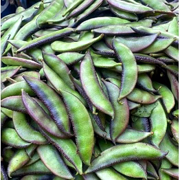 broad beans (sem phali)
