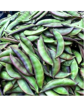 Broad Beans (Sem Phali)