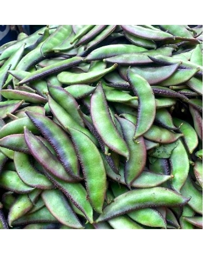 Broad Beans (Sem Phali)-10-250g