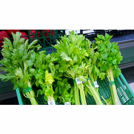 celery